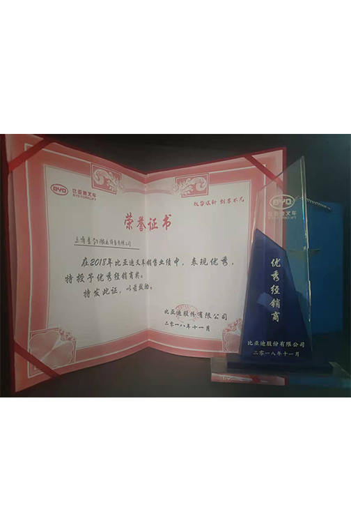 义乌市比亚迪2018优秀经销商